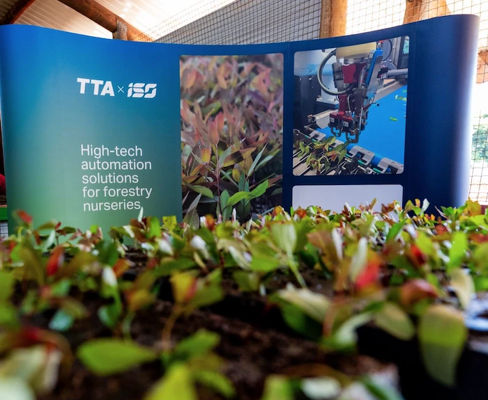 Cutting Planter est arrivée